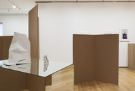 Rachel Harrison: Perth Amboy. Mar 19–Sep 5, 2016.