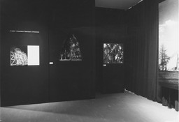 Installation photo, 9 of 25