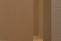 Rachel Harrison: Perth Amboy. Mar 19–Sep 5, 2016.