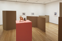 Rachel Harrison: Perth Amboy. Mar 19–Sep 5, 2016.