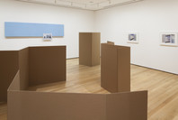 Rachel Harrison: Perth Amboy. Mar 19–Sep 5, 2016.