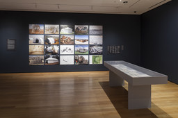 Installation photo, 17 of 34