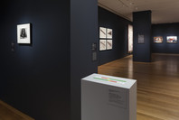 Insecurities: Tracing Displacement and Shelter. Oct 1, 2016–Jan 22, 2017. 6 other works identified