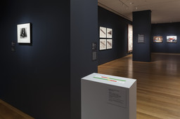 Installation photo, 6 of 34