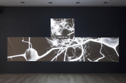 Installation photo, 4 of 41