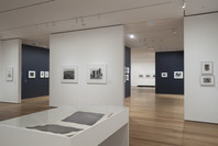 The Shape of Things: Photographs from Robert B. Menschel. Oct 29, 2016–May 7, 2017. 3 other works identified