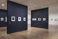 The Shape of Things: Photographs from Robert B. Menschel. Oct 29, 2016–May 7, 2017. 1 other work identified
