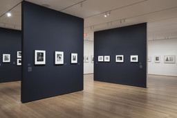 Installation photo, 6 of 29