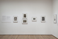 The Shape of Things: Photographs from Robert B. Menschel. Oct 29, 2016–May 7, 2017. 2 other works identified