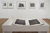 The Shape of Things: Photographs from Robert B. Menschel. Oct 29, 2016–May 7, 2017. 3 other works identified