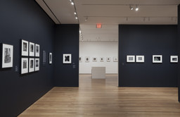 Installation photo, 19 of 29