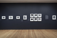 The Shape of Things: Photographs from Robert B. Menschel. Oct 29, 2016–May 7, 2017. 1 other work identified