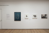 The Shape of Things: Photographs from Robert B. Menschel. Oct 29, 2016–May 7, 2017. 1 other work identified