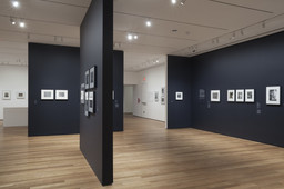 Installation photo, 29 of 29