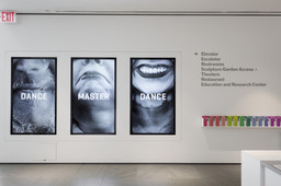 Installation photo, 16 of 41