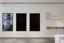 Installation photo, 17 of 41