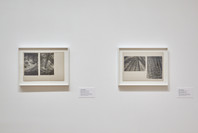 One and One Is Four: The Bauhaus Photocollages of Josef Albers. Nov 23, 2016–Apr 2, 2017. 1 other work identified