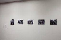 Installation photo, 4 of 20