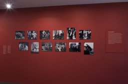 Installation photo, 9 of 20
