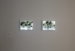 Installation photo, 8 of 20