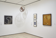 A Revolutionary Impulse: The Rise of the Russian Avant-Garde. Dec 3, 2016–Mar 12, 2017. 4 other works identified