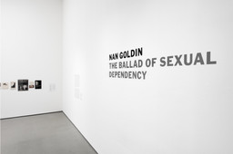 Nan Goldin: The Ballad of Sexual Dependency | MoMA