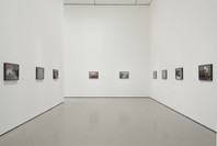 Nan Goldin: The Ballad of Sexual Dependency. Jun 11, 2016–Apr 16, 2017. 8 other works identified