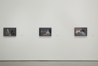 Nan Goldin: The Ballad of Sexual Dependency. Jun 11, 2016–Apr 16, 2017. 2 other works identified