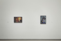 Nan Goldin: The Ballad of Sexual Dependency. Jun 11, 2016–Apr 16, 2017. 1 other work identified