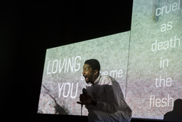 Installation photo, 32 of 41