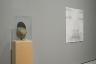 Multiplex: Directions in Art, 1970 to Now. Nov 21, 2007–Jul 21, 2008. 1 other work identified