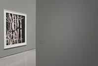 Multiplex: Directions in Art, 1970 to Now. Nov 21, 2007–Jul 21, 2008. 1 other work identified