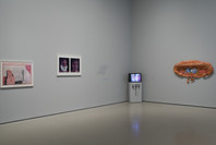 Multiplex: Directions in Art, 1970 to Now. Nov 21, 2007–Jul 21, 2008. 3 other works identified