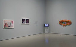 Installation photo, 32 of 42