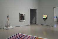 Multiplex: Directions in Art, 1970 to Now. Nov 21, 2007–Jul 21, 2008. 3 other works identified