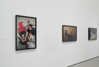 Nan Goldin: The Ballad of Sexual Dependency. Jun 11, 2016–Apr 16, 2017. 1 other work identified