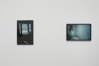 Nan Goldin: The Ballad of Sexual Dependency. Jun 11, 2016–Apr 16, 2017.