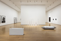 Unfinished Conversations: New Work from the Collection. Mar 19–Jul 30, 2017. 8 other works identified
