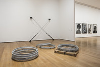 Unfinished Conversations: New Work from the Collection. Mar 19–Jul 30, 2017. 5 other works identified