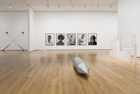 Unfinished Conversations: New Work from the Collection. Mar 19–Jul 30, 2017. 8 other works identified