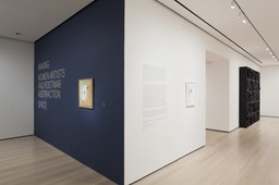 Installation photo, 5 of 53