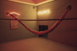 Installation photo, 6 of 8