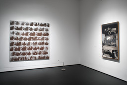 Installation photo, 76 of 123