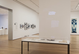 Installation photo, 7 of 123