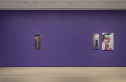 Installation photo, 3 of 17