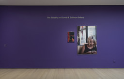 Installation photo, 8 of 17