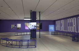 Installation photo, 11 of 17