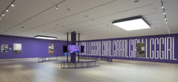 Installation photo, 15 of 17