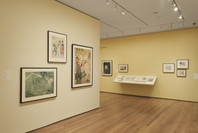 The Paris of Toulouse-Lautrec: Prints and Posters. Jul 26, 2014–Mar 22, 2015. 8 other works identified