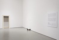 Robert Gober: The Heart Is Not a Metaphor. Oct 4, 2014–Jan 18, 2015.